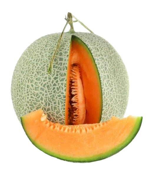 Fresh sweet melons from Egypt